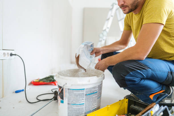 Trusted Dakota Ridge, CO Mold Removal Experts